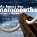 Médias. Le mammouth du « Service public » suisse. Votations populaires du 14.6. 2015. Une vraie tricherie et un but  inavoué.