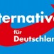 L&rsquo;AfD, 2e force politique d&rsquo;Allemagne