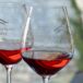 Occitanie : la nouvelle révolte des Vignerons du Languedoc